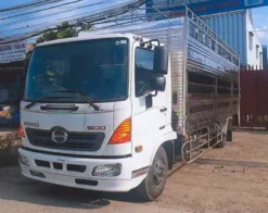 Xe chở gia súc 5.6 TẤN: FC9JLTC (THÙNG 6.3M)